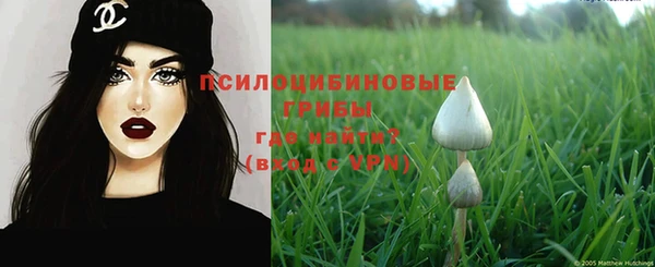 эйфоретик Осташков