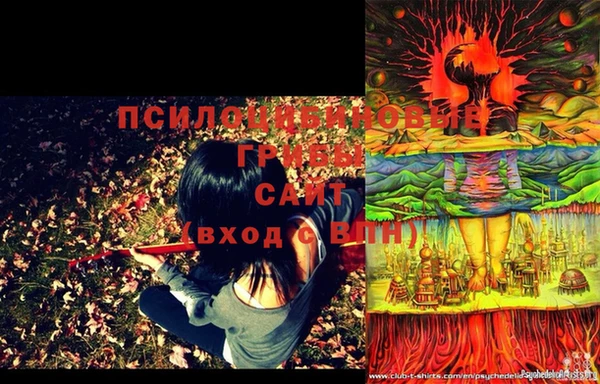 меф Осинники