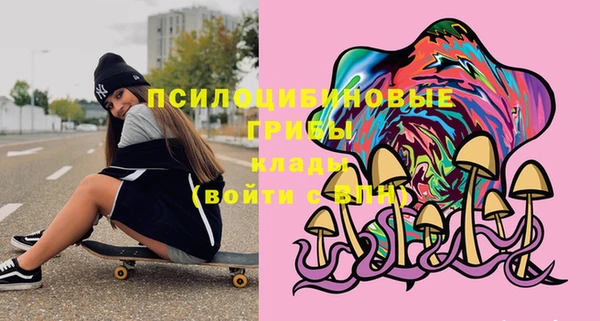 эйфоретик Осташков