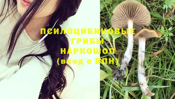 твердый Пролетарск