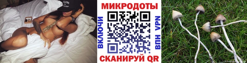 кракен tor  Пучеж  Псилоцибиновые грибы GOLDEN TEACHER 